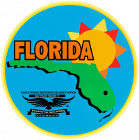 FL_EagleWings_clean_icon